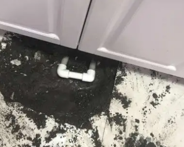 宁强查漏水哪家好